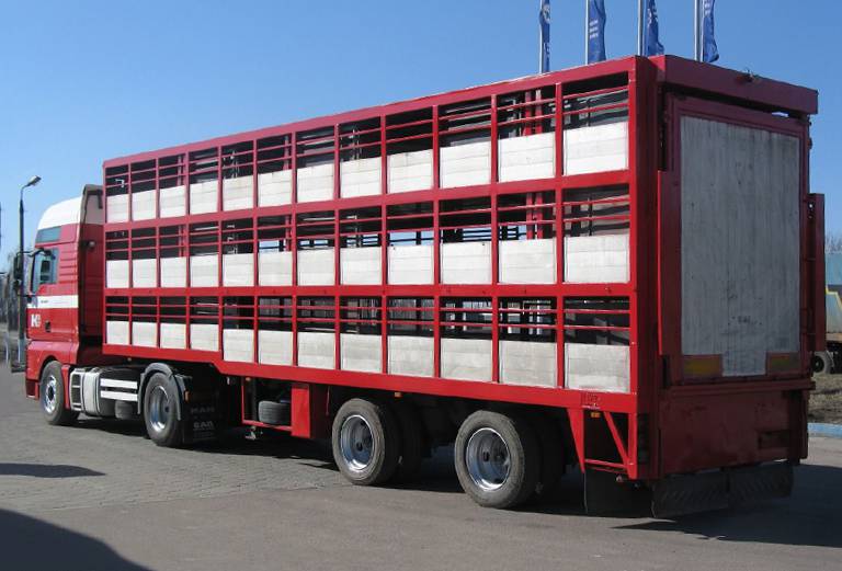 Прицеп для перевозки крупного рогатого скота из Нижней Тавды в д Бачелино
